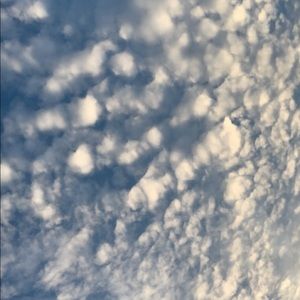 Meet your Posher, Elma